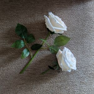 Faux Off-White Roses (Short/Medium Stem) | Wedding/Shower/Birthday
